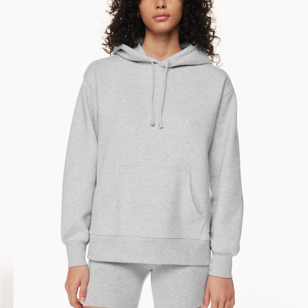 Aritzia hoodie